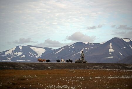 　ロシアは６月２９日、ノルウェーが課した規制によって北極圏のスバルバル諸島のロシア人居住区への物資輸送が妨げられているとし、ノルウェー政府が問題を解決しなければ「報復措置」を取ると警告した。写真は 同諸島を行く犬ぞり、２０１９年８月撮影（２０２２年　ロイター/Hannah McKay）