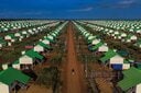 SOVEIT YARN-REUTERS