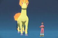 米メディア記者「狂暴になったポケモンが最高」──最新作『アルセウス』