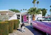 【写真特集】光のあふれる美しい家と、愛すべき犬と