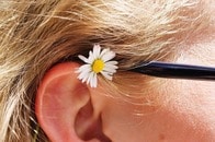 【写真】なぜこんなに「ギザギザ」？ 奇妙な形をした「耳」の写真を投稿した人物が話題...「みんなそうだと...」