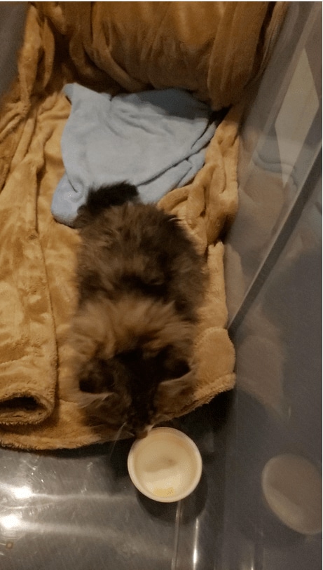 スクリーンショット (39).png