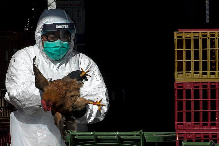 2014年香港、H7鳥インフルエンザが発見され、中国本土からの家禽の輸入が停止された　REUTERS/Tyrone Siu