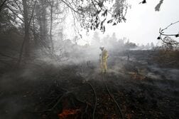 ベルギー観測史上最大の山火事、雨で鎮静化　独への延焼の危険後退