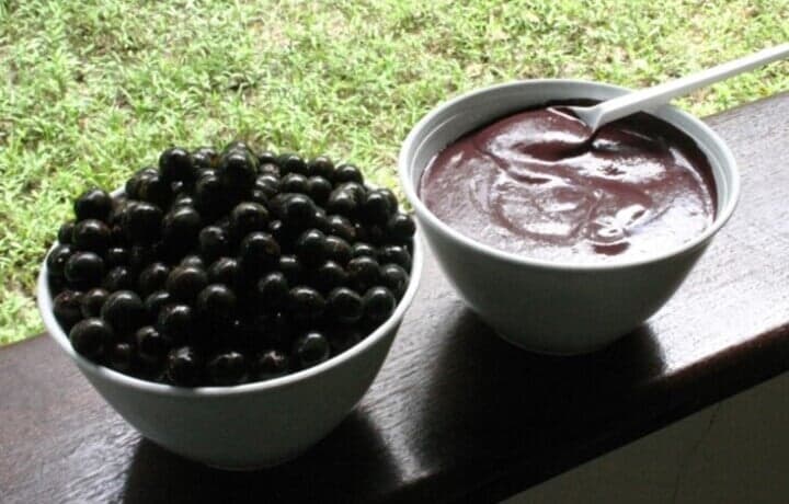 ブラジル情報アサイー