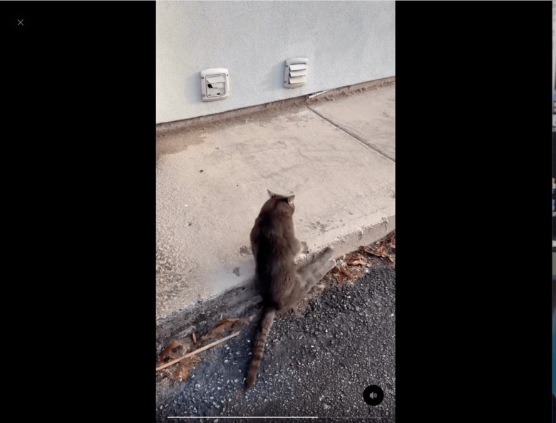 スクリーンショット 3.png