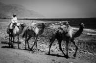 エジプトの古代の交易路で発見された「1万年以上前に描かれた岩絵」...何が描かれていた？