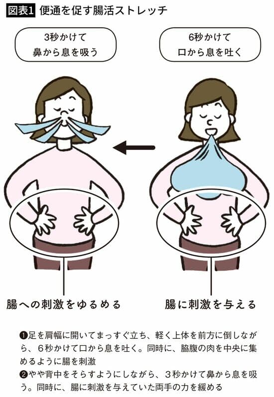 便通を促す腸活ストレッチ