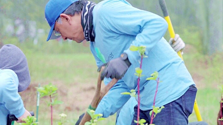 アメリカでの環境保全活動