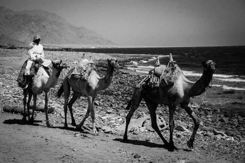 シナイ半島は太古の昔から重要な交易路だった　ZUMA Press Wire-REUTERS