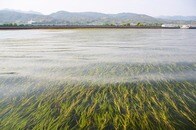 「水の可能性」を探究し、環境改善と経済成長の両立を目指す赤塚植物園グループの挑戦
