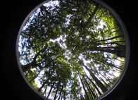 テクノロジーで農業の画一化に抗う　東大研究員西岡一洋