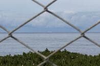 トランプはクルーズ船の感染者を下船させたくなかった？