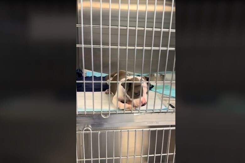 @scoottothestars/TikTok