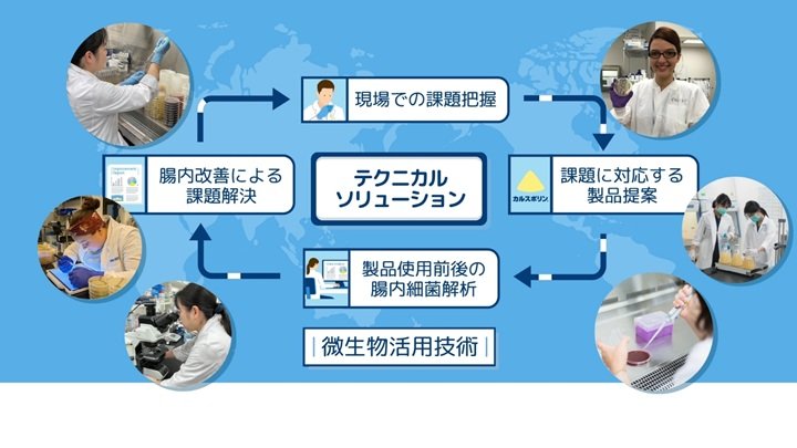 テクニカルソリューションのイメージ図