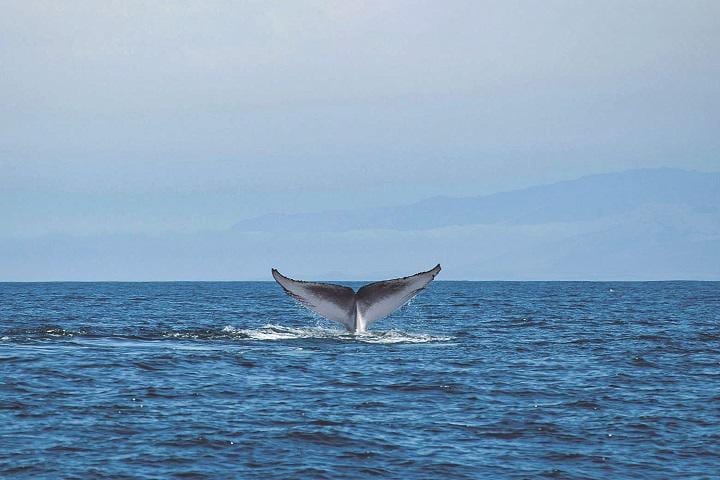 APRILLE LIPTON/FLICKRーSLATE