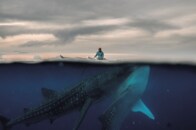 【写真特集】人間と野生のジンベイザメの危うい関係