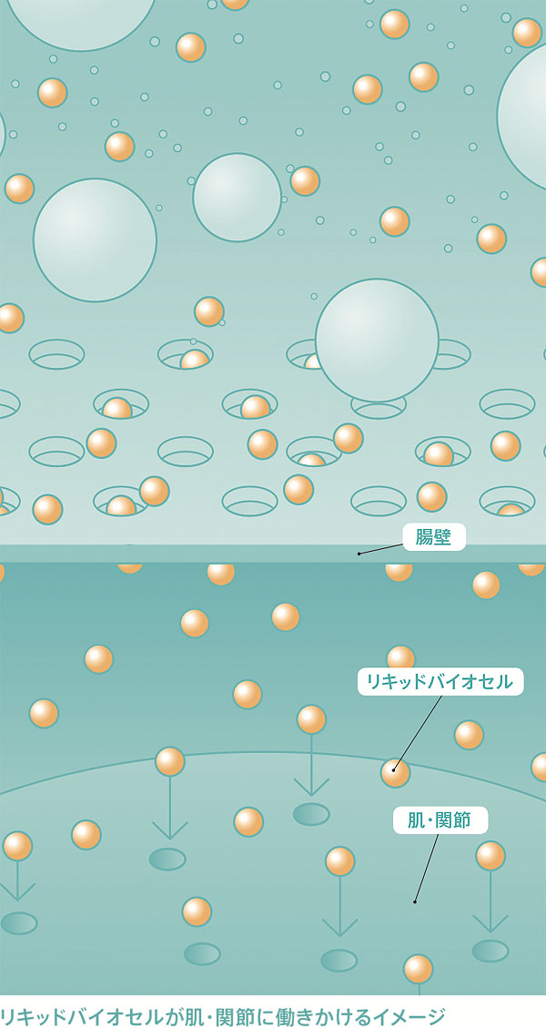 modereTU_171114-4b.jpg