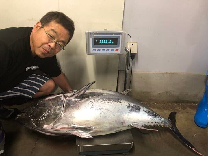 クロマグロと岡山理科大学の山本俊政准教授