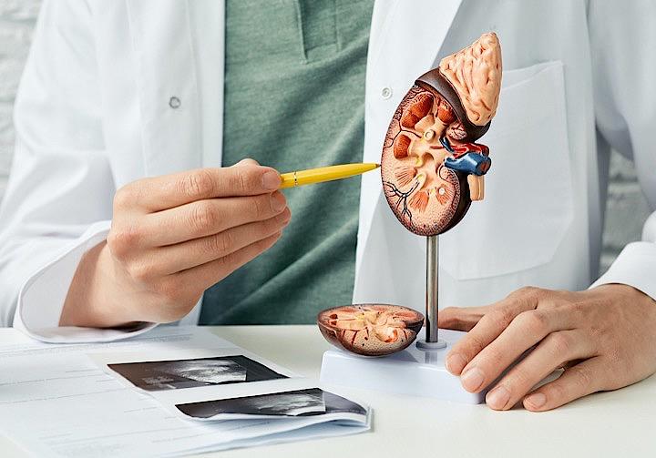 ある日突然「人工透析が必要です」と言われないようにするためには？　＊写真はイメージです  peakSTOCK - iStockphoto