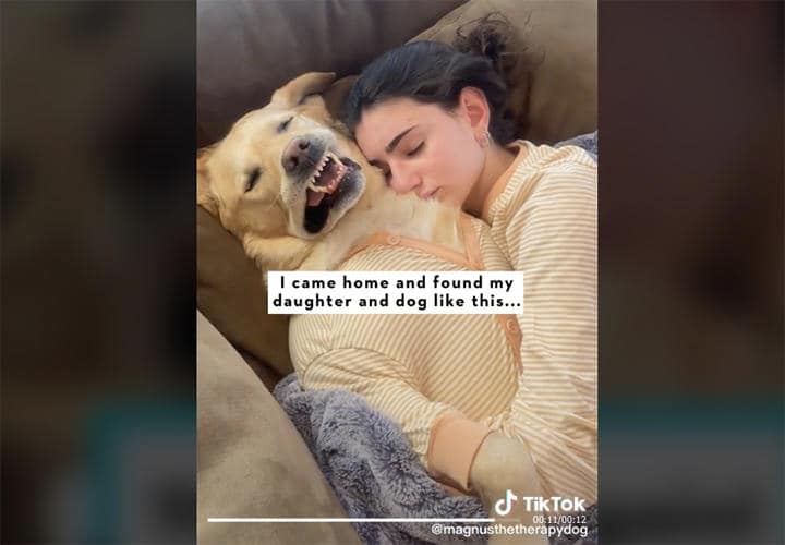 @magnusthetherapydog/TikTok