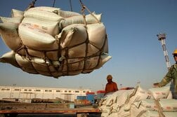 中国、米国産大豆100万トン購入　習主席訪米控え＝関係筋