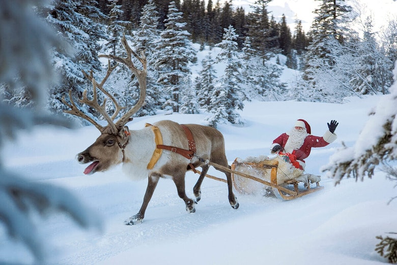 北極圏などに生息するトナカイは地球温暖化の影響で存続の危機に　ALTRENDO IMAGES/SHUTTERSTOCK