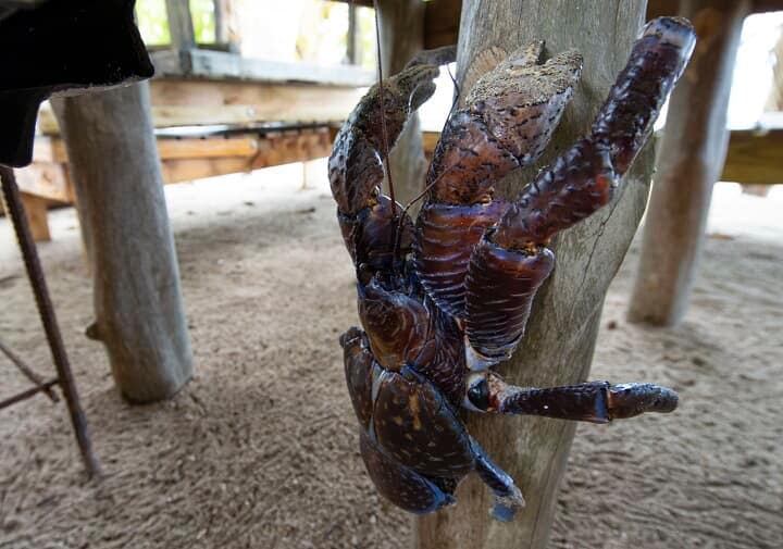 （写真はイメージです）　TOSHIHARU ARAKAWA-iStock