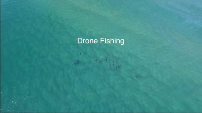 Jaiden Maclean-YouTube