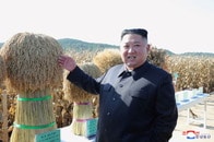 道の米粒を拾った夫婦を、歩けないほど「タコ殴り」に...北朝鮮の悪化する食糧事情