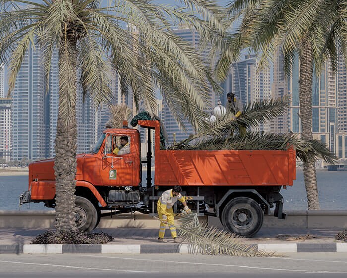 シャルジャのビーチ沿いでヤシの木を剪定する労働者ら。UAEではインドやパキスタン、バングラデシュ、ネパールやエチオピアなど、南アジアやアフリカからの移民が過酷な労働条件で働いている