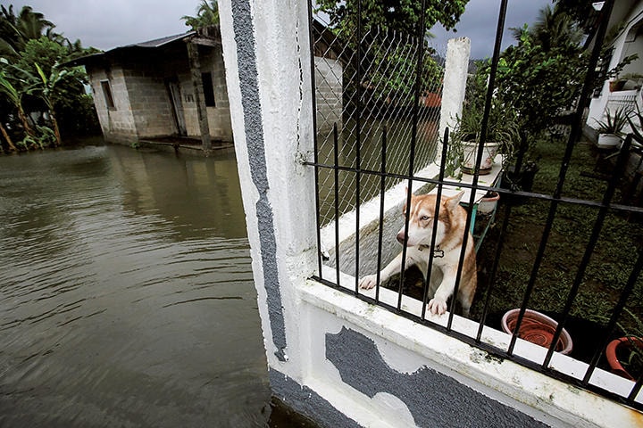 JORGE CABRERA-REUTERS