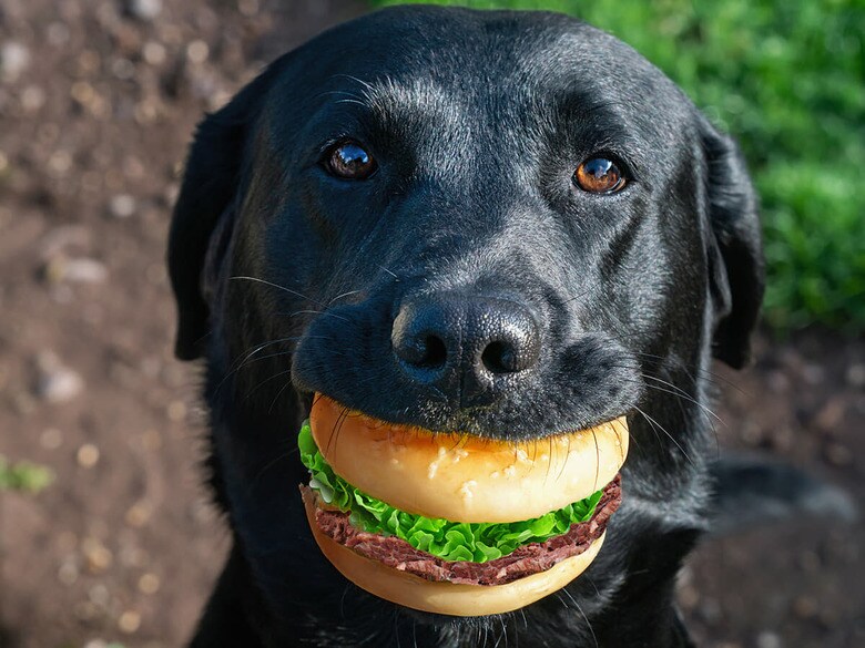 （写真はイメージです）　AGEphotography-iStock