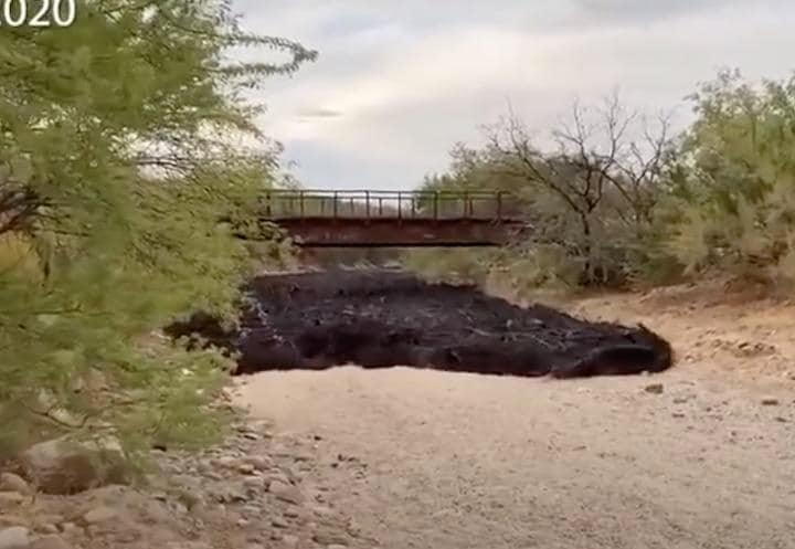 Official Pima County-YouTube