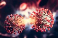 オミクロンは「最後の変異株」なのか、英専門家が解説