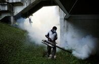 マレーシア首都圏などでデング熱急増、当局が拡大リスク警告