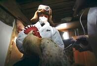 鳥インフルエンザH5N8型、初のヒト感染　ロシアがWHOに報告