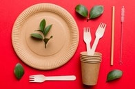 「環境に優しい食器」から有害物質が放出されていた...「ナチュラル素材」の落とし穴とは？【最新研究】