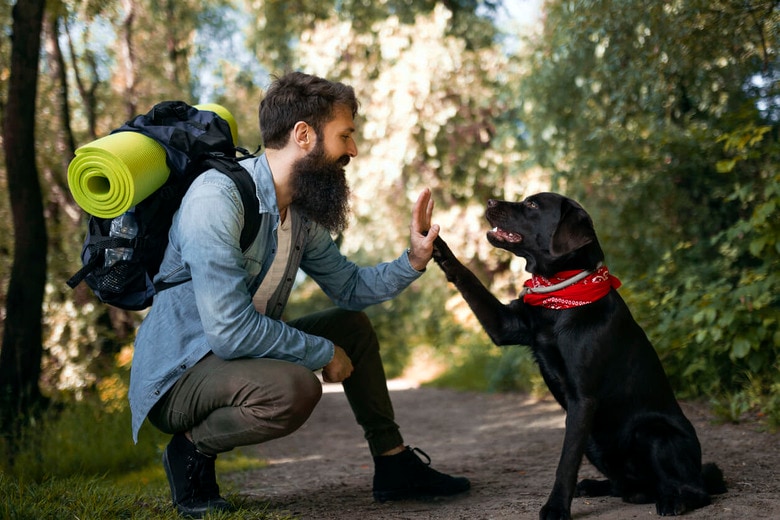 ハイタッチをする犬でも飼い主に忠誠心をもたない!?　Zorica Nastasic - iStockphoto