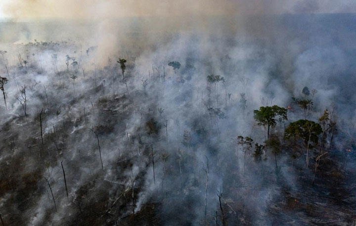 先住民が暮らすブラジル・モトグロッソ州の森林火災（8月25日）　Marizilda Cruppe/Amnesty International/REUTERS