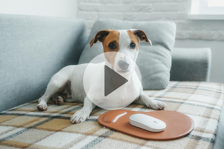 ※動画は本文中で再生できます（写真はイメージです）　IRYNA KAZLOVA-iStock