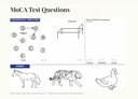 モントリオール認知評価テスト（MoCA）の問題