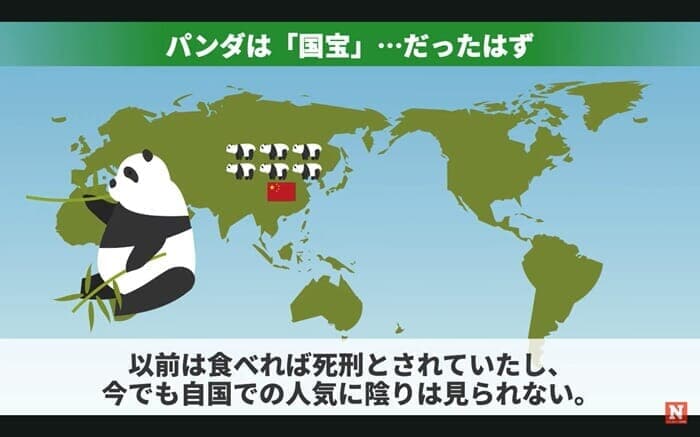 世界地図とパンダのイラスト