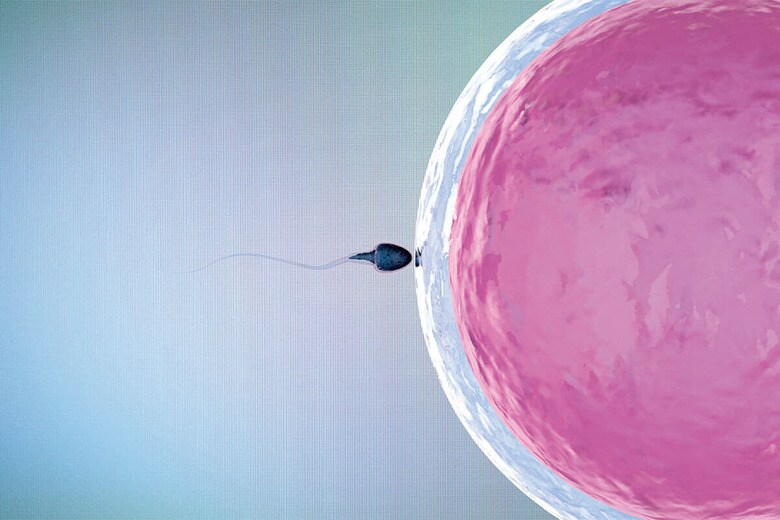 PHONLAMAIPHOTO/ISTOCK