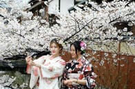 京都1200年の「花見」の記録は、気候変動を示す世界的に貴重な記録だった......過去最も早く満開に