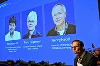 ノーベル生理学・医学賞、「光遺伝学」の米欧3氏に
