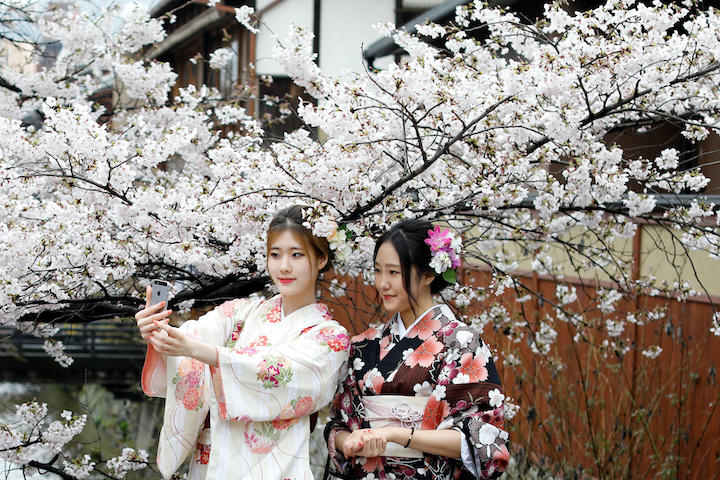 京都のさくらが過去1200年で最も早く満開となった （写真は、2017年4月7日） REUTERS/Jorge Silva