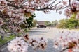 日本文化は「翻訳」できるのか？...「見て、聞いて、味わう」日本文化の本質は「間」にあった