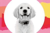 「子供も持たないほうが...」飼い犬の世話もできない私、子育ては向いてない？