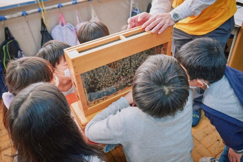 生き物や環境の大切さを学ぶ子どもたち。ミツバチの生態に興味しんしんだ